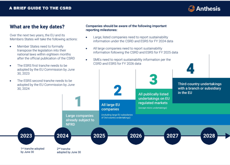 Infographic of the Guide to the Corporate Sustainability Reporting Directive