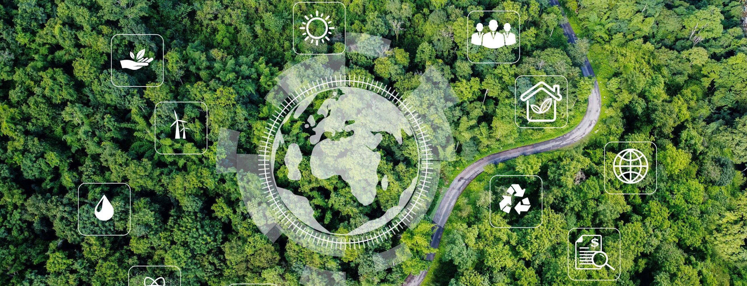 Birds eye view of a forest with ESG symbols