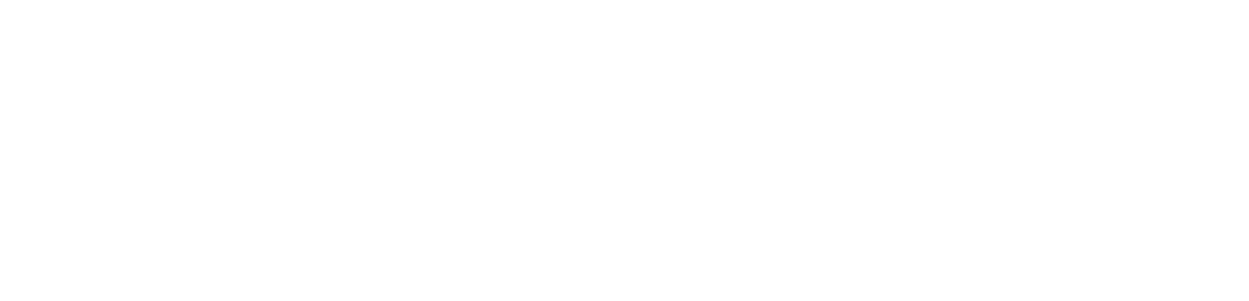 GD_Logo_Netcetera_BWM_neg_sRGB_600