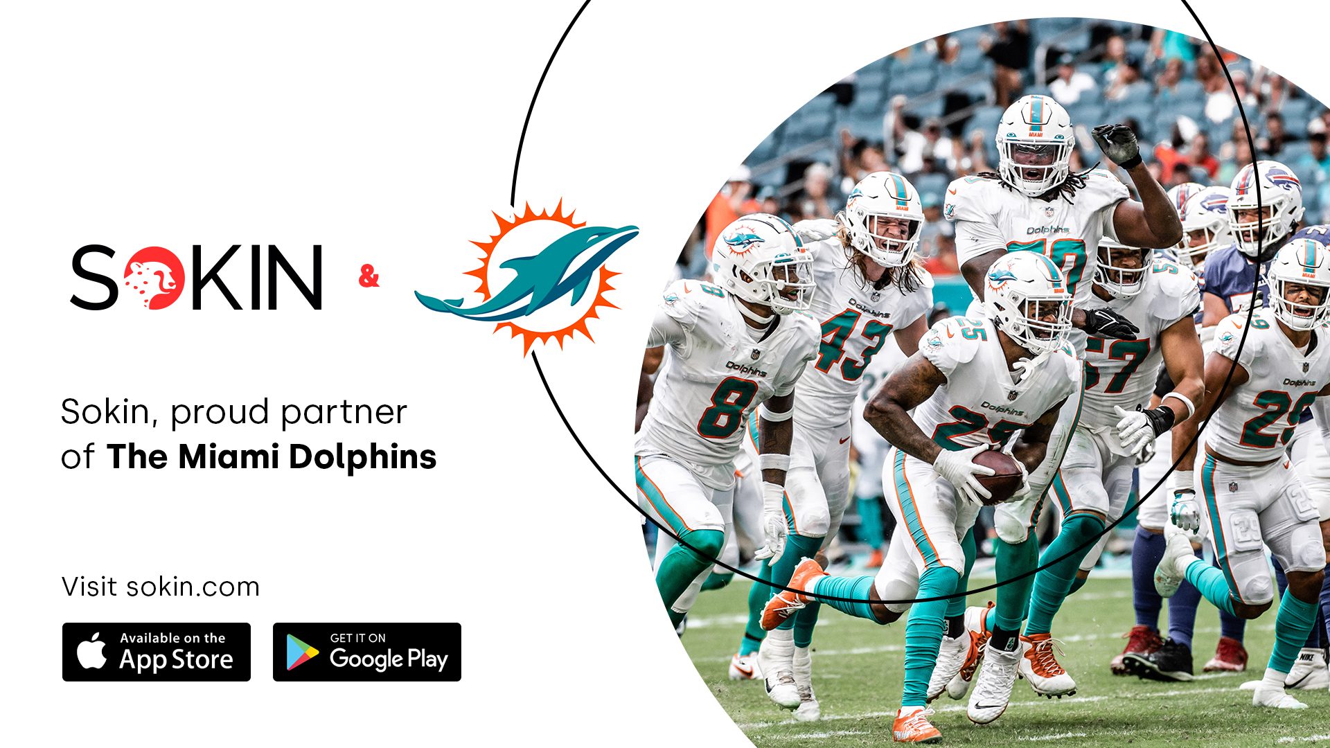 miami dolphins season ticket benefits