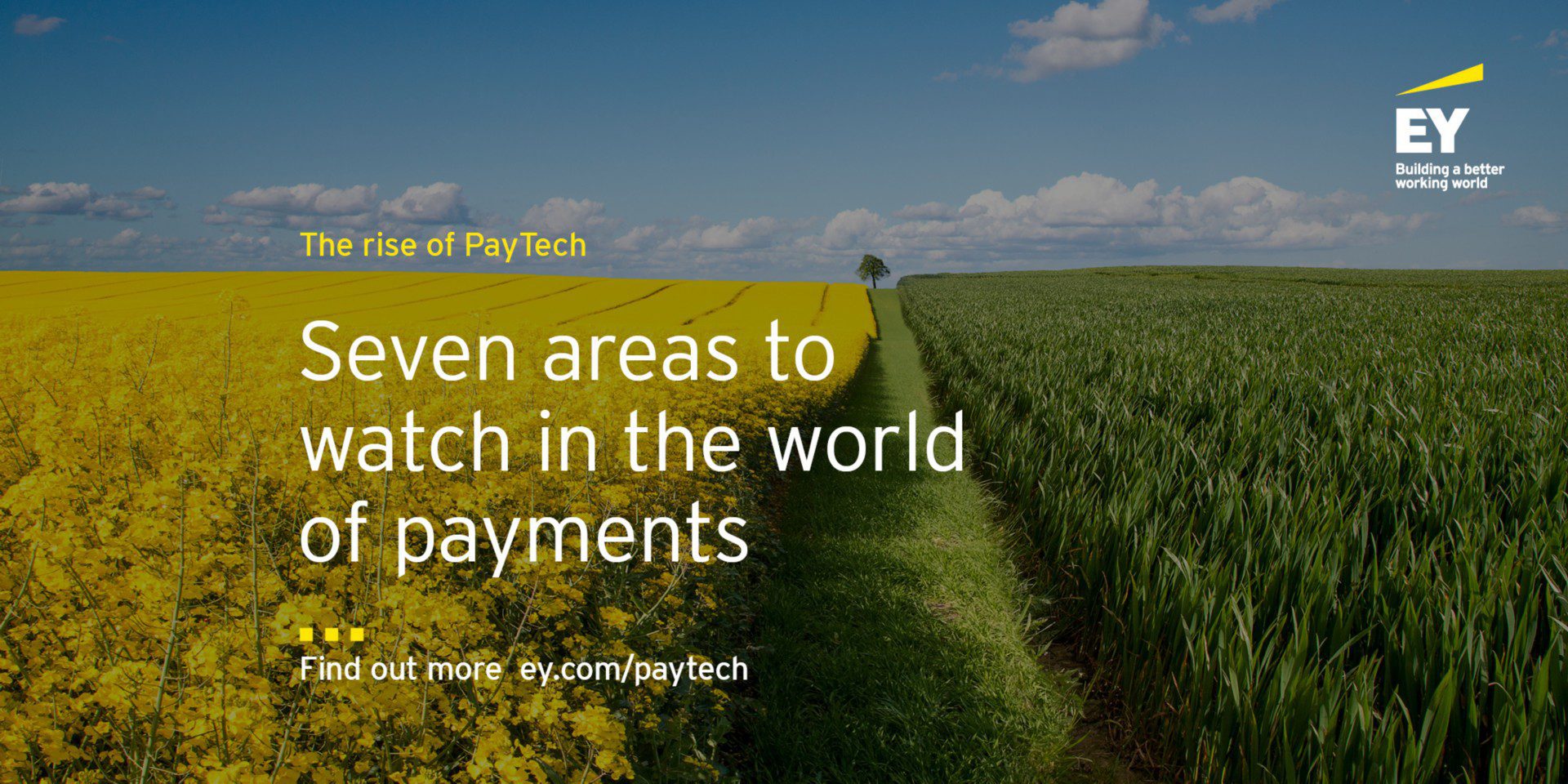The Paytech Show 6.15: Payments Pressure - YouTube