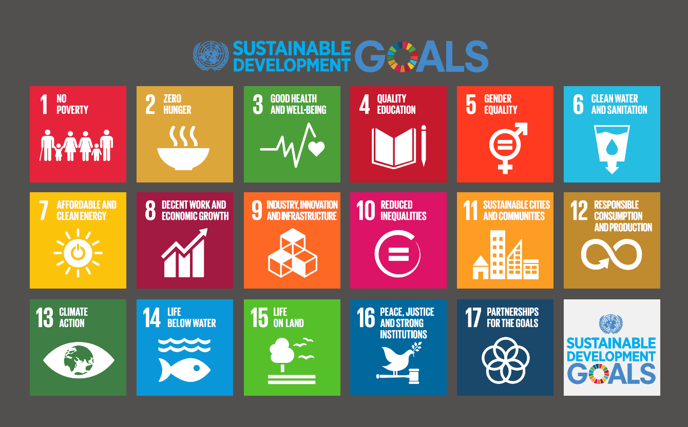 SDG's Industry Matrix | The Payments Association