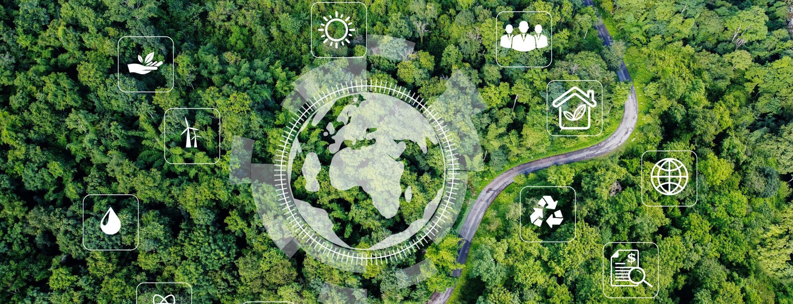 Birds eye view of a forest with ESG symbols